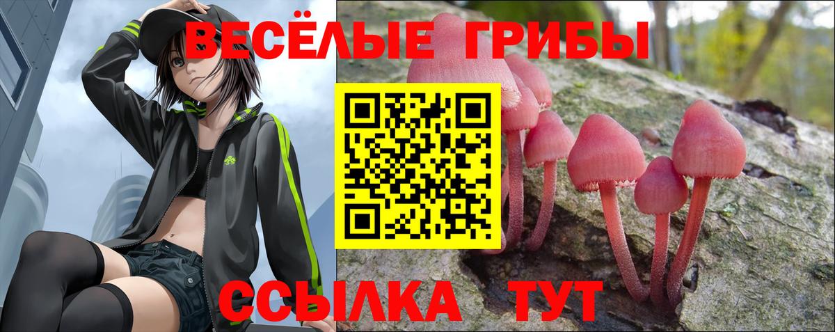 Галлюциногенные грибы Psilocybe  Вход с VPN  Сухой Лог 